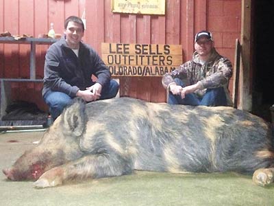 Alabama Hog Hunts with Lee Sells Outfitters