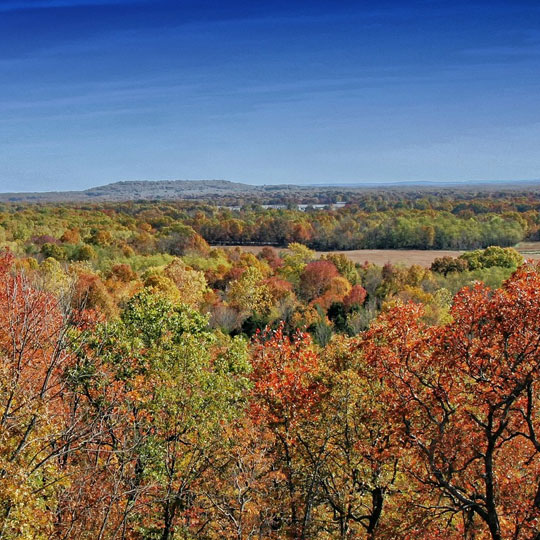 arkansas-hunting