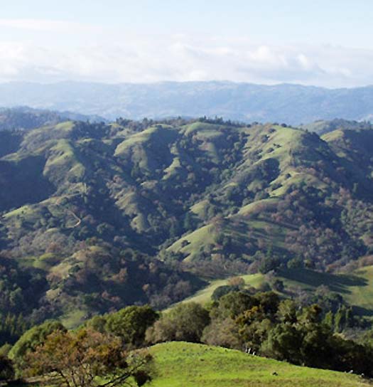 Sonoma County, California - Incredible place to hunt hogs and blacktail deer