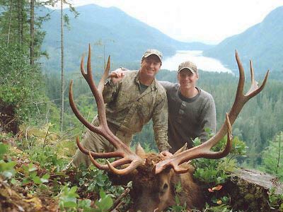 Coastal Inlet Adventures for Rosevelt Elk Hunts in BC