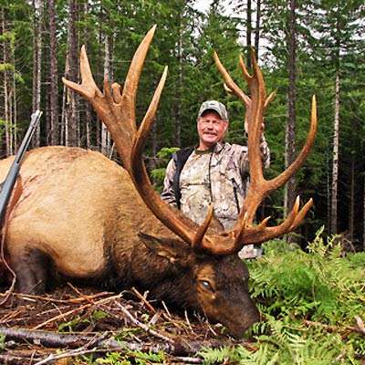 Canadian Black Bear & Roosevelt Elk Hunting in BC