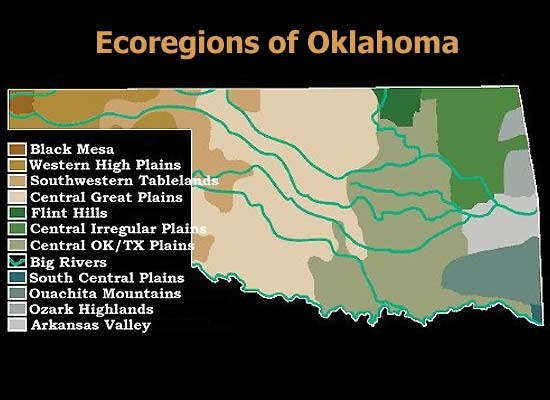 Oklahoma Ecoregions