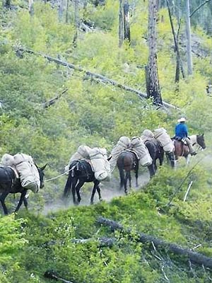 Hands-on Hunting Guide Training