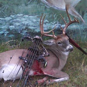 Haun Ranch - Texas Hunting Guide