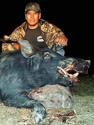 Wild Hog Hunting in California with Lockwood Hunting Service
