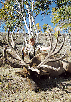 montana-record-elk