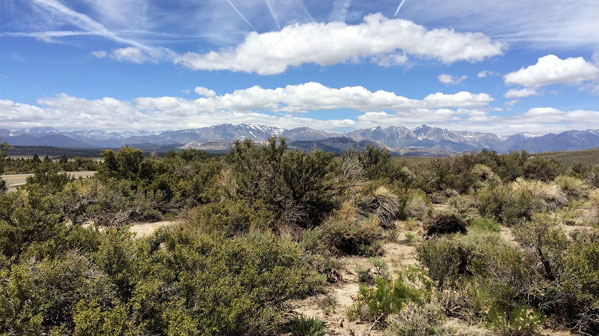 Nevada Hunting Terrain