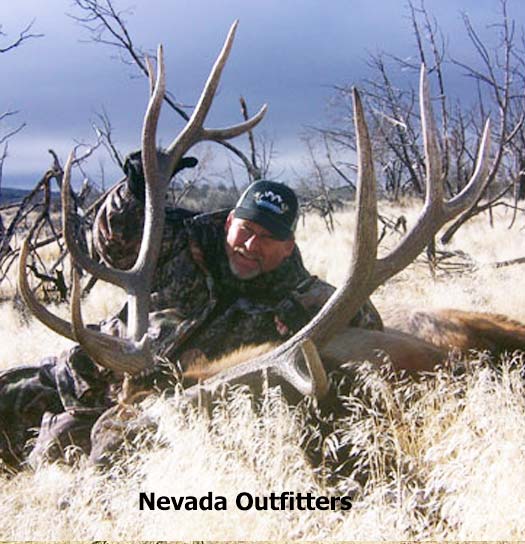 Big Game Hunts with Nevada Outfitters