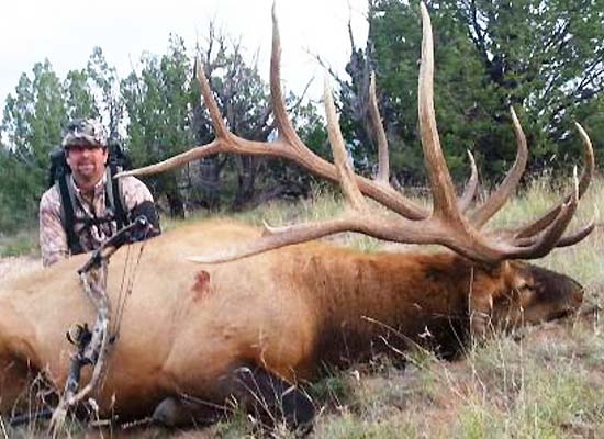 Possible New Mexico State Record Bull - Green score 410"
