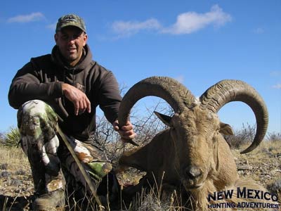 NM Barbary Sheep Hunts