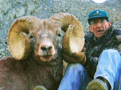 Bighorn Sheep hunts in New Mexico