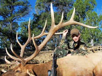 Elk Hunting New Mexico