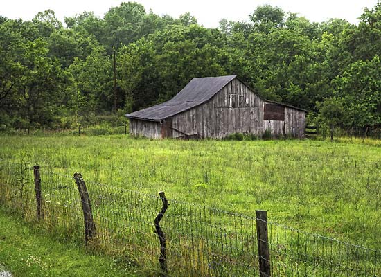 Ohio Hunting - Deer, Hog, Turkey