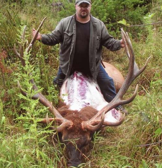 Oregon Roosevelt Elk Hunting