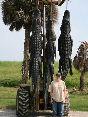 Outwest Farms - Florida Alligator Hunts