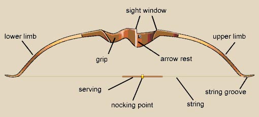 recurve