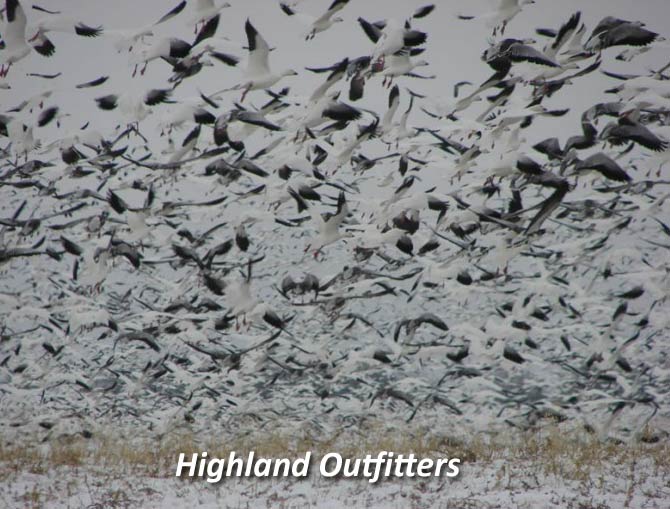 Saskatchewan Waterfowl Hunts