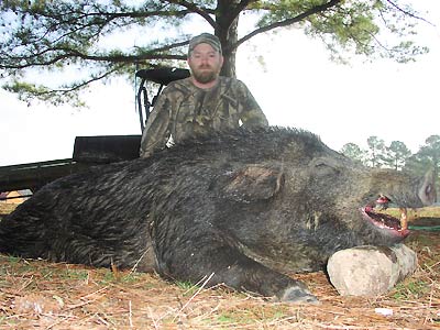 T and M Hunting Properties - NC Hog Hunts