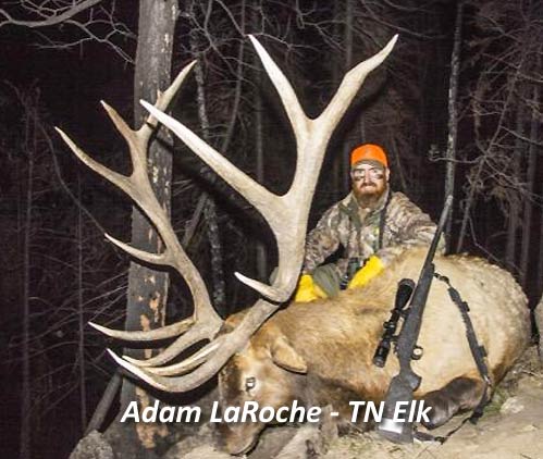 Trophy Bull Elk in Tennessee