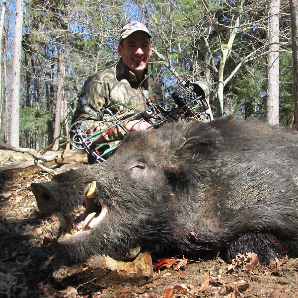 Tioga Boar Hunting Ranch