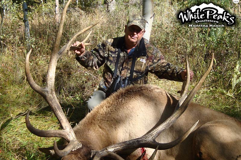 Trophy Utah Elk taken with White Peaks Outfitters