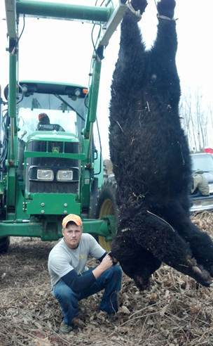 Record black bear taken in Virginia