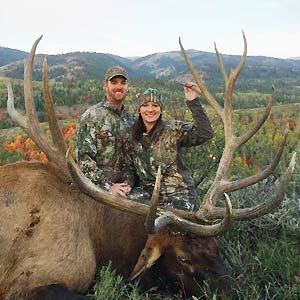 Trophy Bull Elk Hunts with White Peaks Outfitters and Hunting Ranch