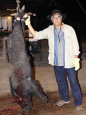 Hog Hunting in Texas with Haun Ranch