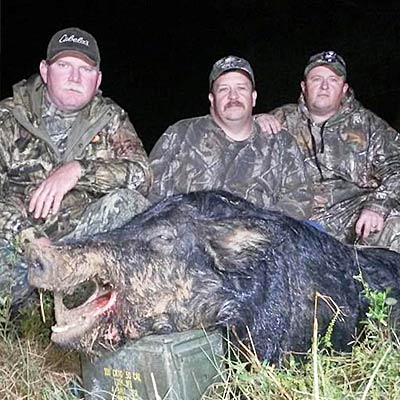Hog Hunting Guides – Thermal Scope Technology – HogSwat