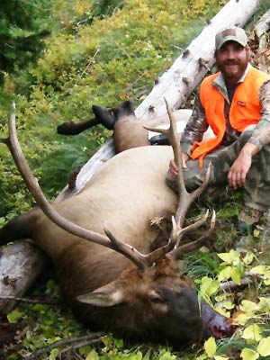 Montana Elk Hunts with Swan Mountain Outfitters