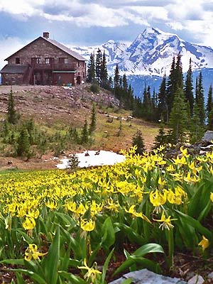 Swan Mountain Outfitters in Montana