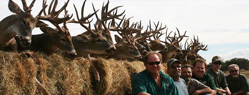 Whitetail Deer hunts in Texas with MMK Outfitters