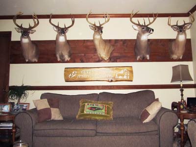 Cutawhiskie Creek Outfitters Hunting Lodge