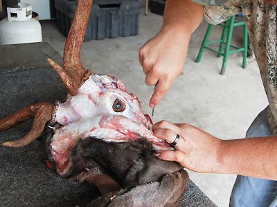 Guide School and Outfitter training with Texas Guide School