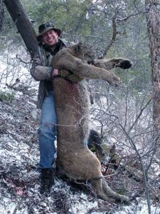 Arizona guided mountain lion hunts with Old West Outfitters